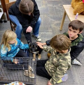 Puppies puppies puppies children petting puppies