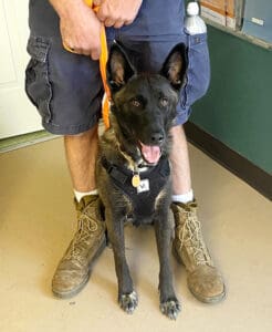 Rescue Dog_Lu Bio pic 1