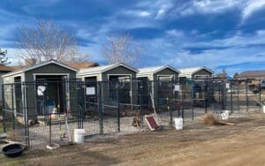 Whelping sheds