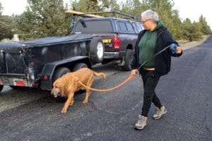 Dog Rescuers, Woody and Colette on walk