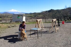 Dog enrichment, agility course: Ali with Herbie and Steve at agility course