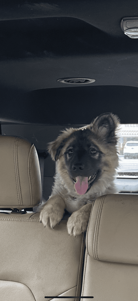 C9E374DB-F6B8-4F2A-8881-ABDD1343FC85