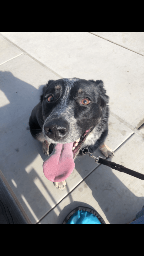 89AFCBC7-8EE8-44A4-89EC-93905B67AF21