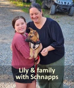 Find dogs homes_ Lily family with Schnapps
