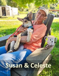 Find dogs homes_ Susan and Celeste