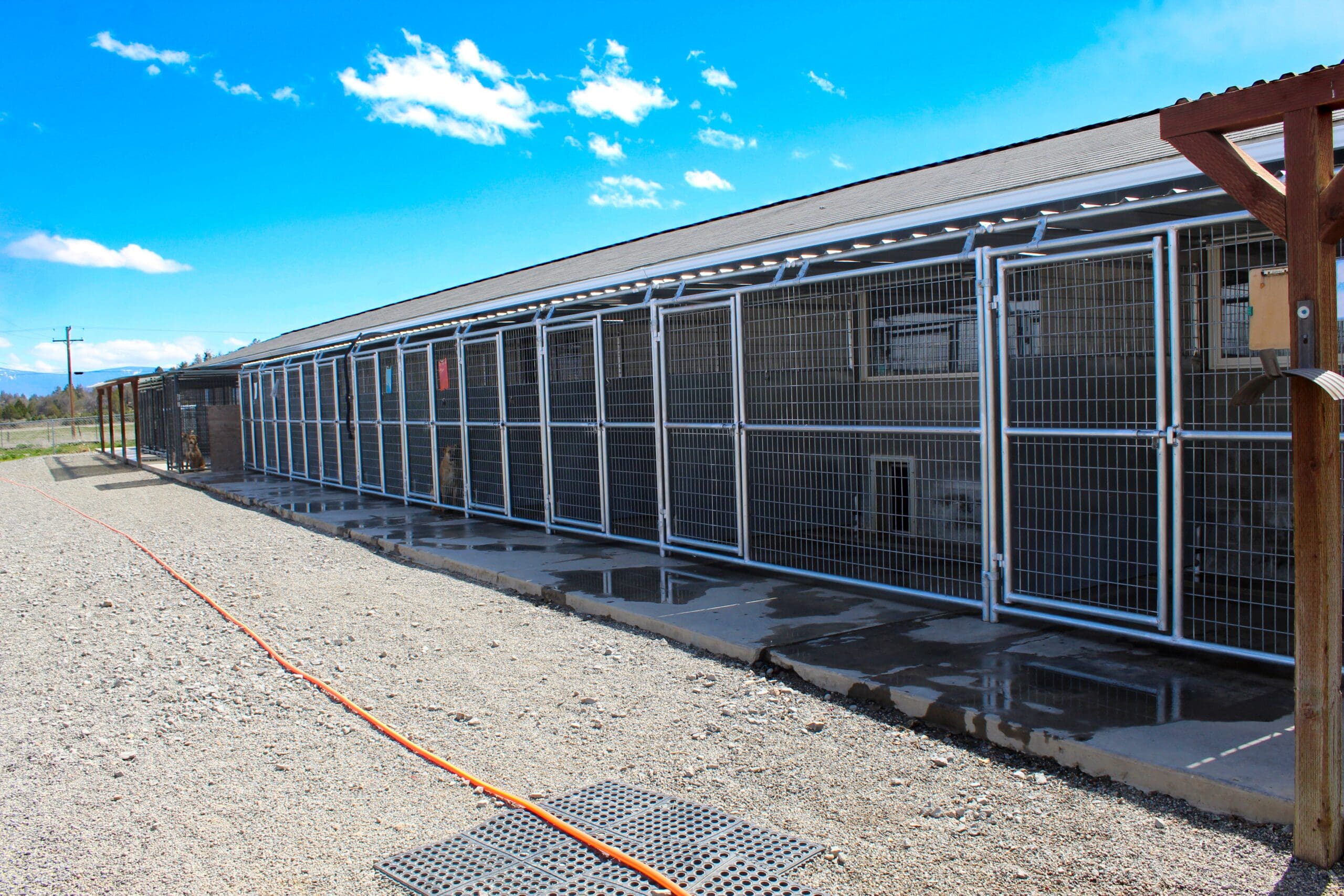 Rescue Ranch Adoption Center outdoor kennels on North side of the building