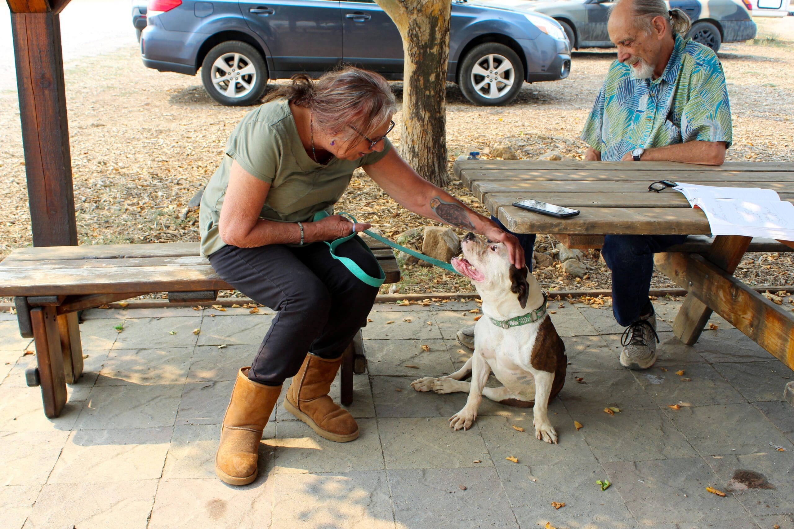 Day foster speanding quality time with Diva the bulldog , petting her head