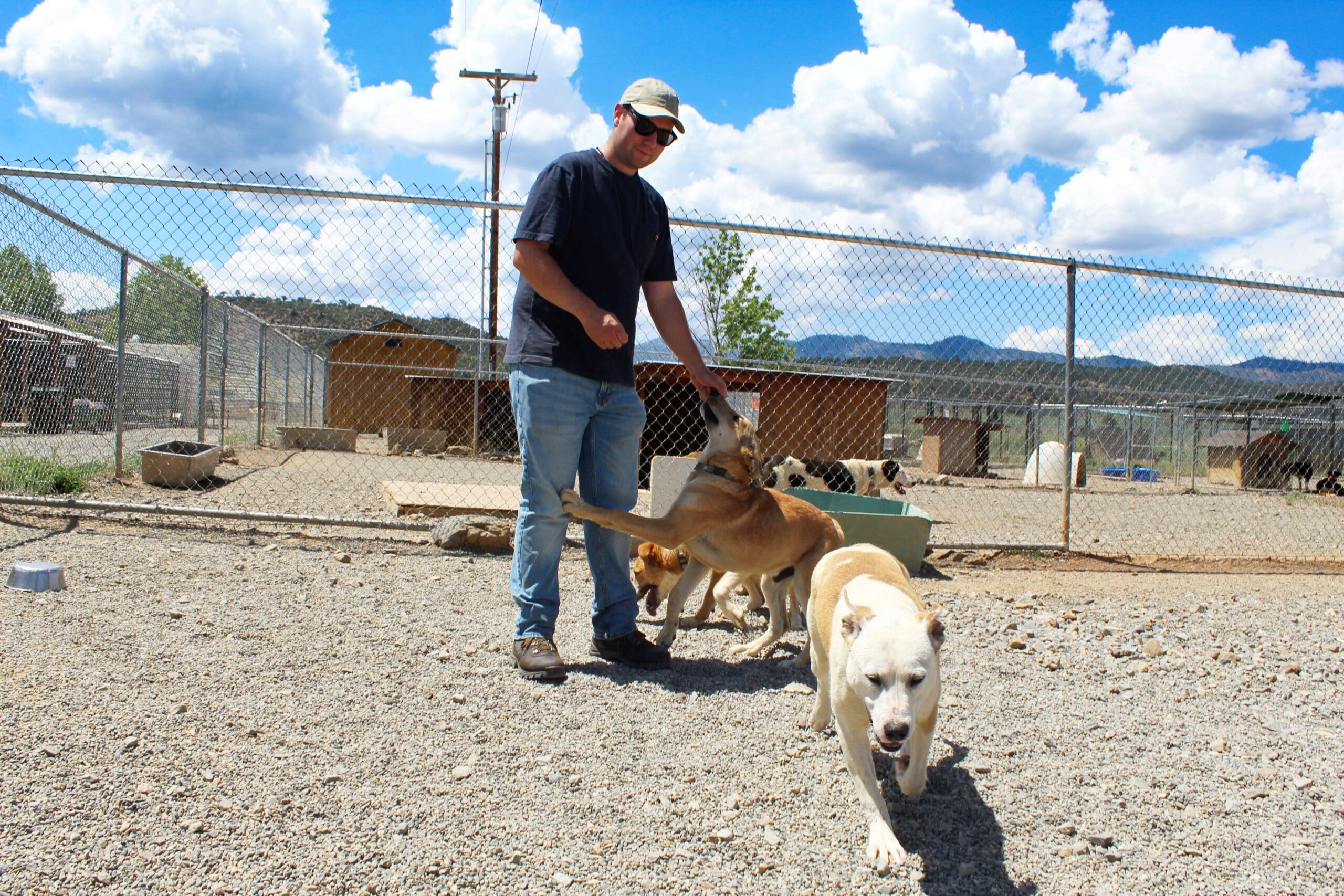 Adoption Center, staff with dogs in yard