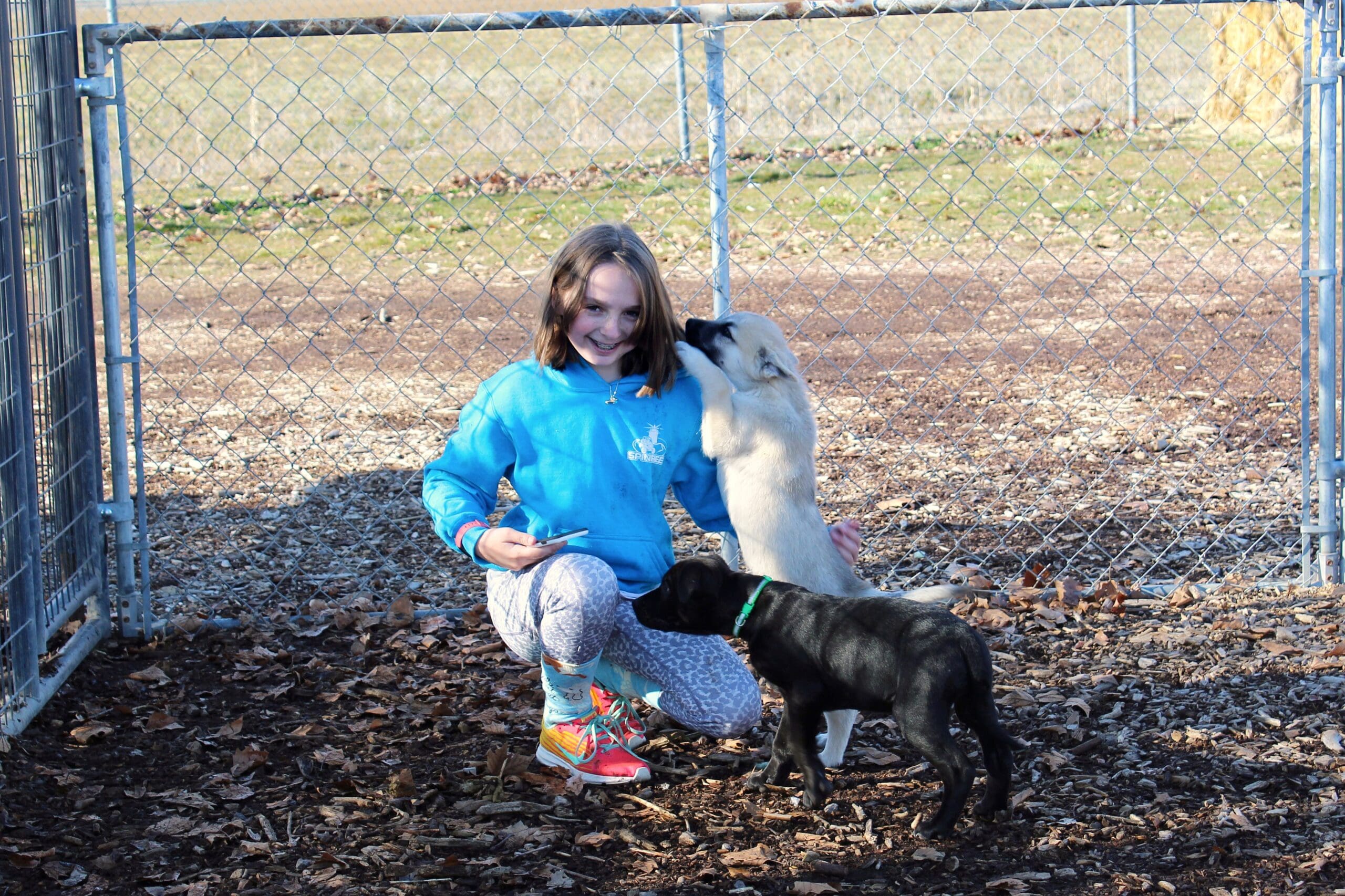 Young volunteer playing with puppy at Rescue Ranch Adoption Center