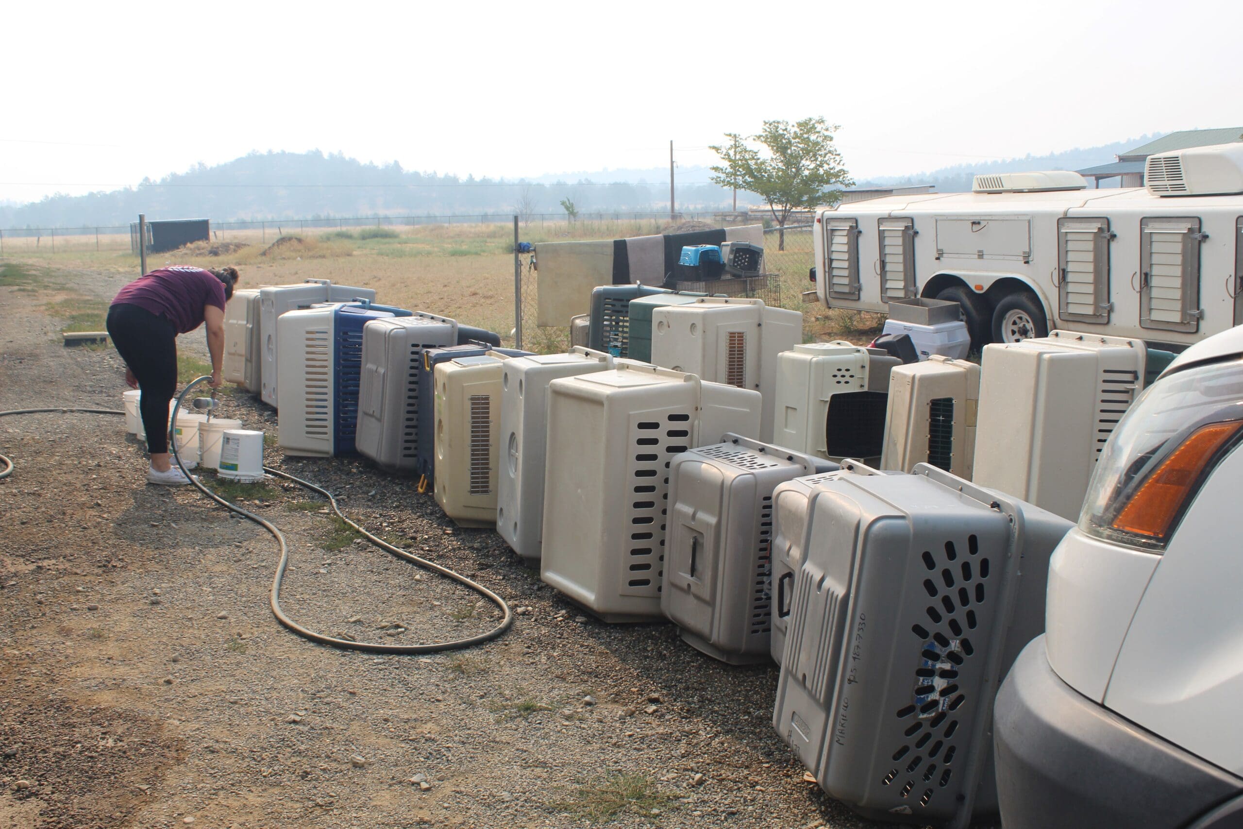 Rescue Ranch Adoption Center, cleaning dog crates during fire emergency
