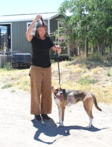 eterinary care_Kiwi in recovery with Laura outside at Sanctuary