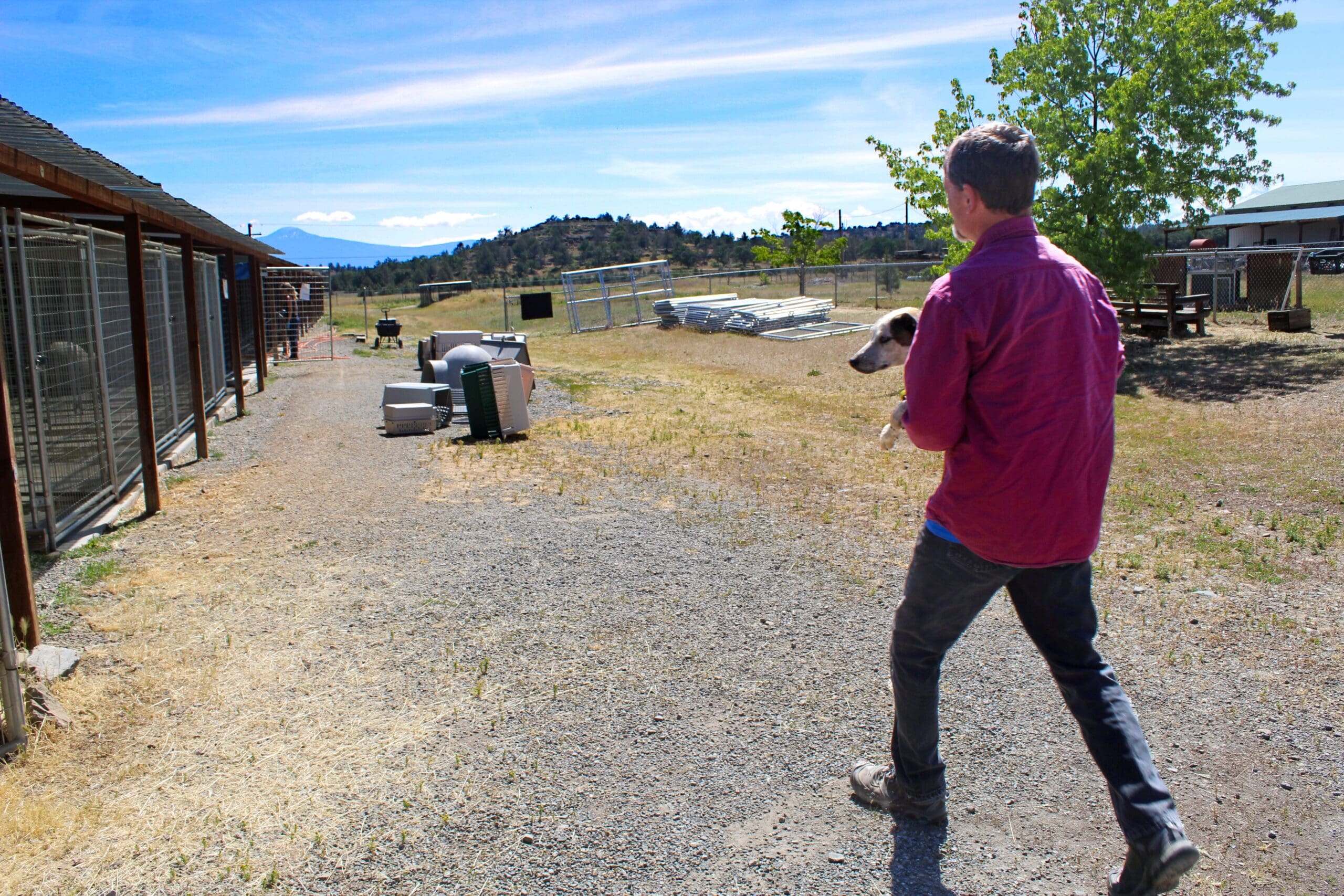 Adoption Center_Staff carrying dog to main building