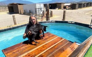 Laura in the pool placing Roxy on the wood float