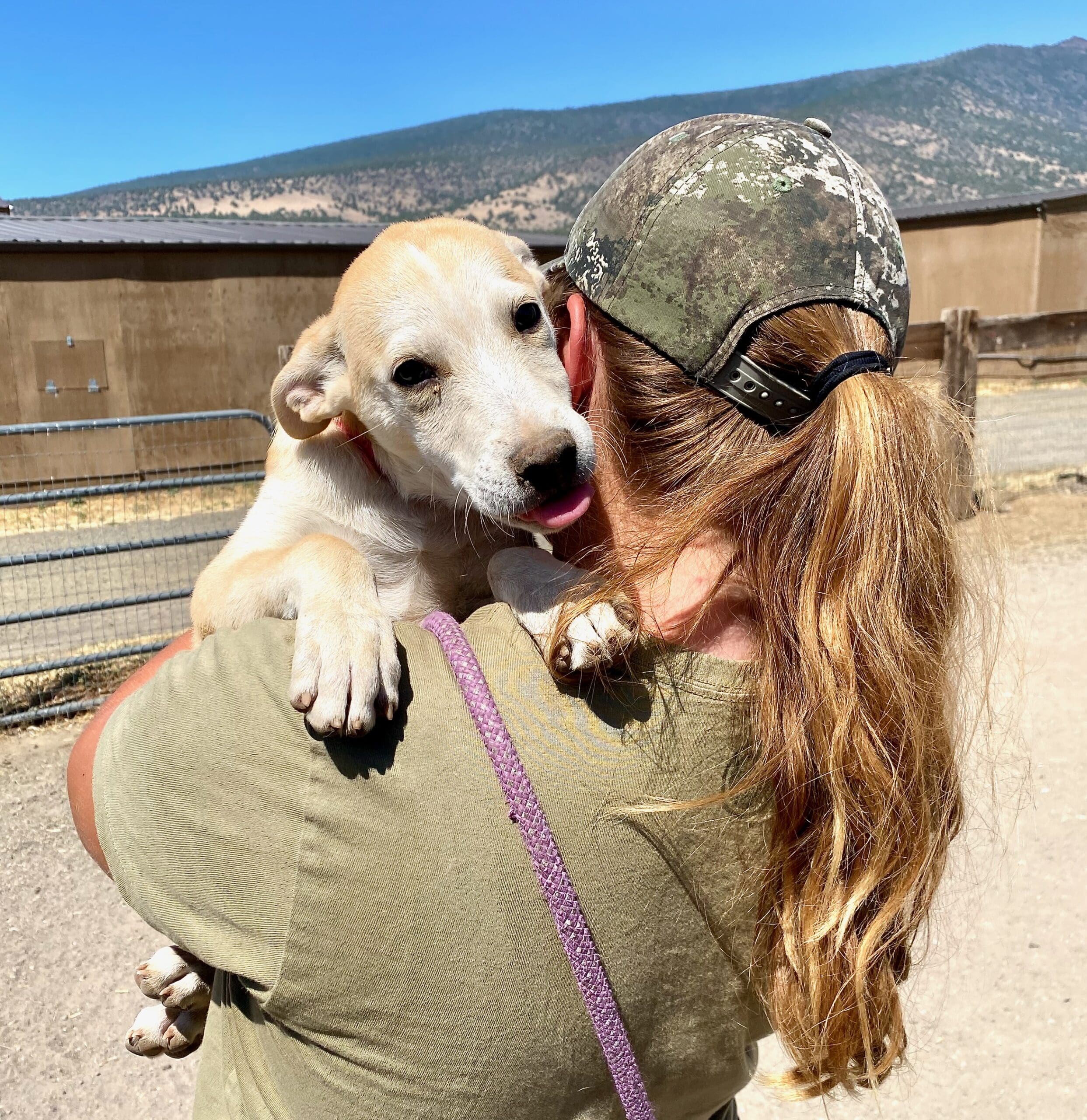 Sydney_pup_Sanctuary