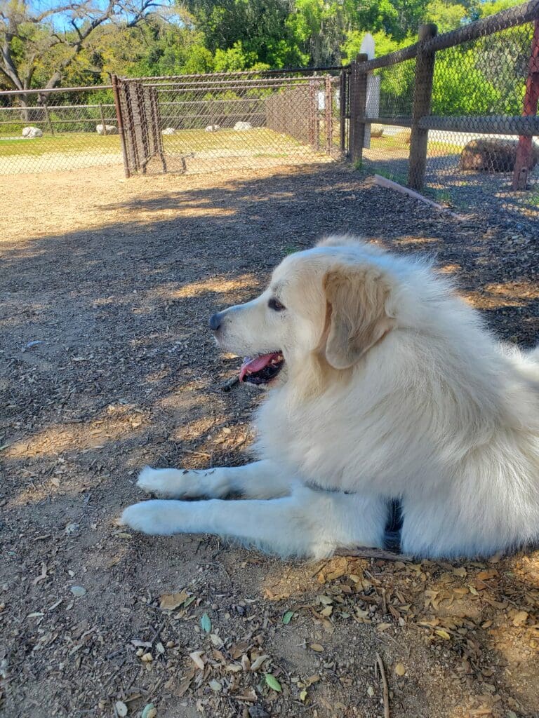 storage_emulated_0_DCIM_Camera_20240409_113750