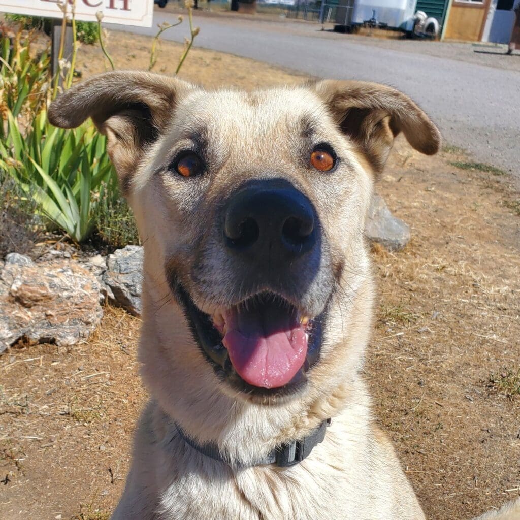 Floyd