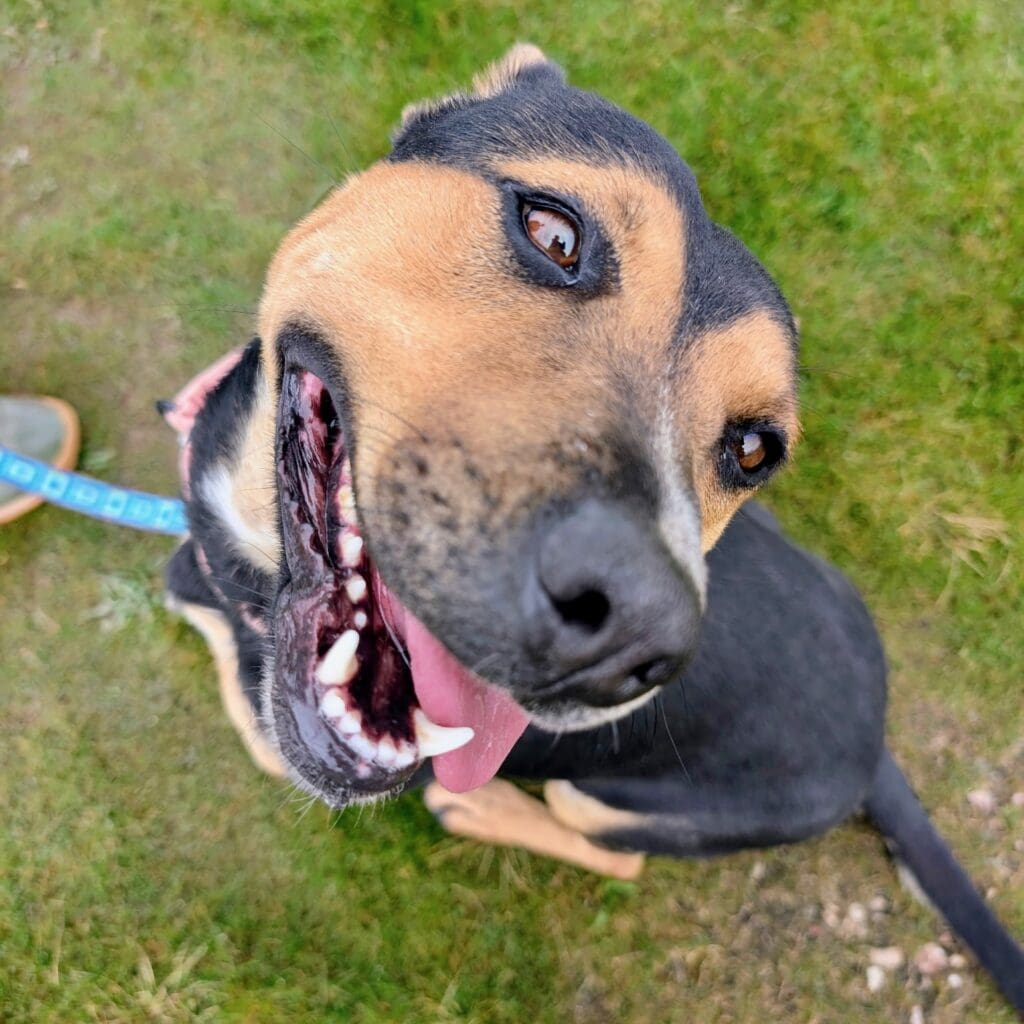 Eve_silly_grin