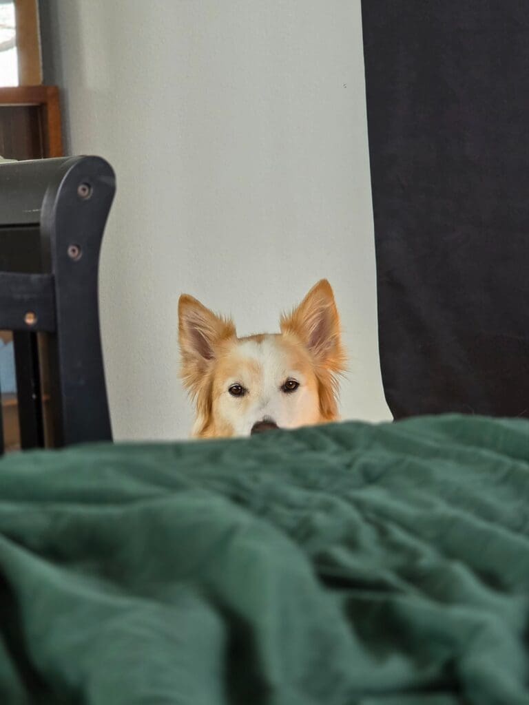 20260301_113755