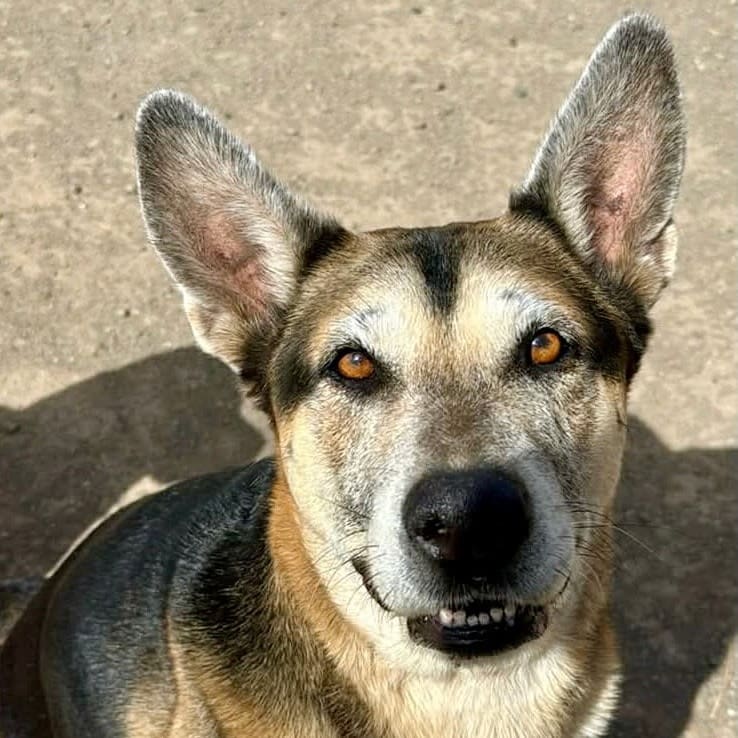 Hasiko_senior_portrait