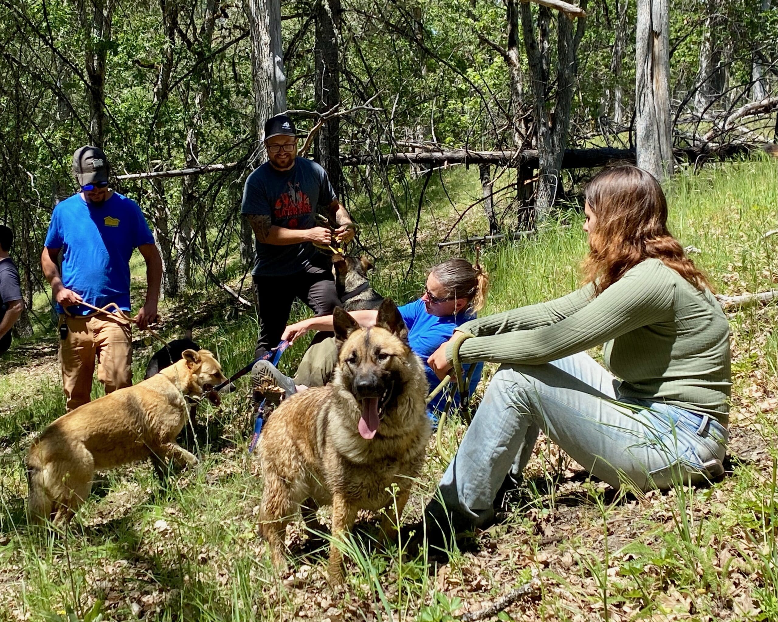 RR_crew_resting_on_hillside_mommas