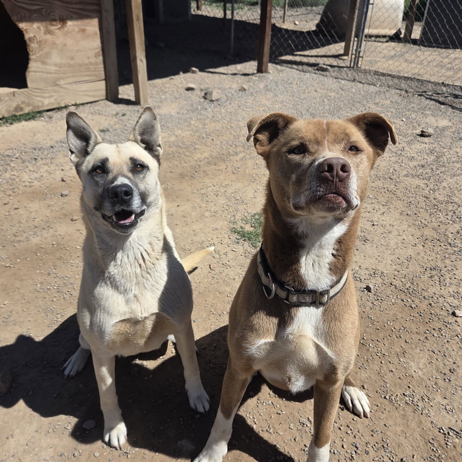 Sister_with_Monty