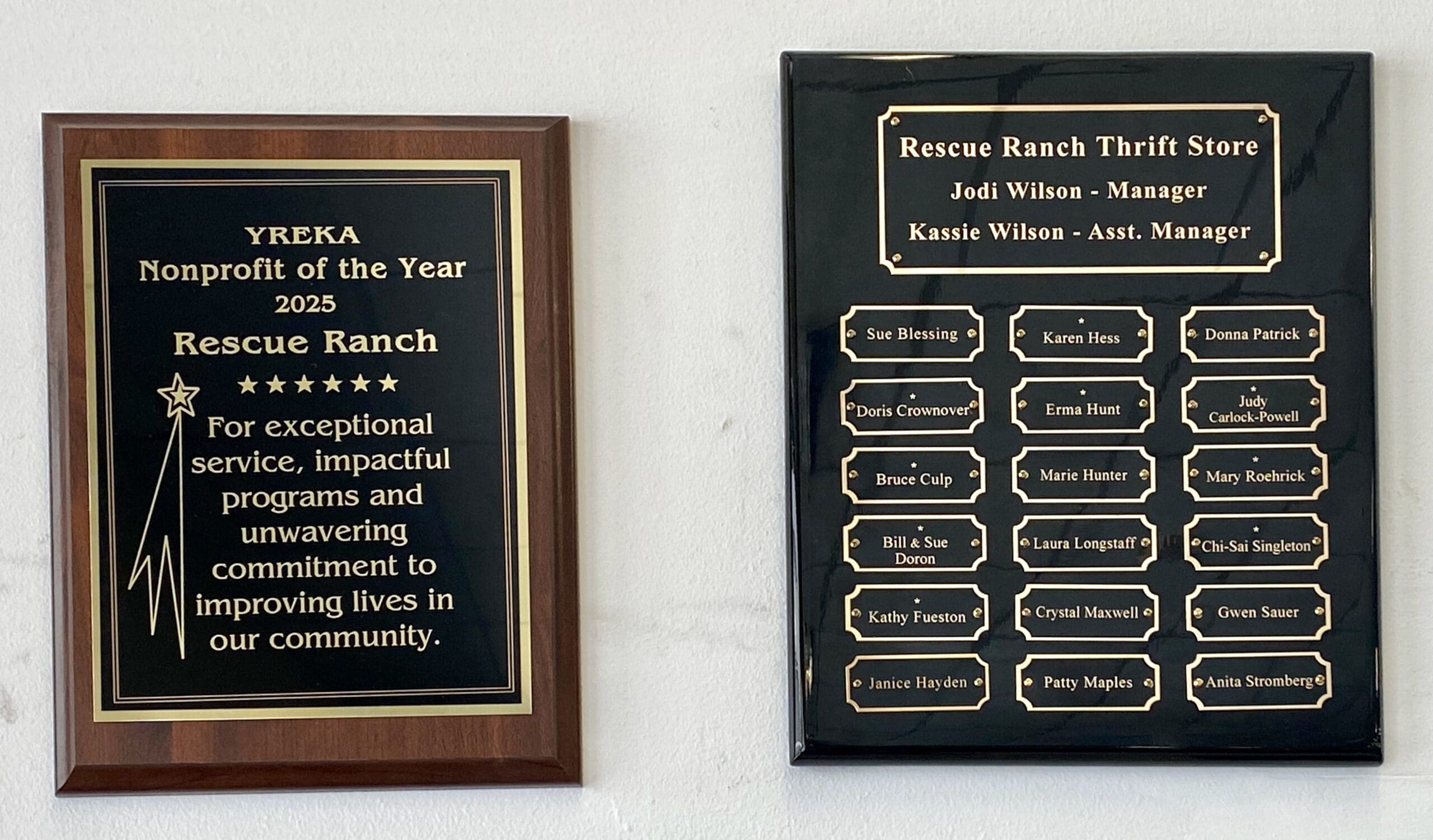 Thrift_Store_Award_plaques