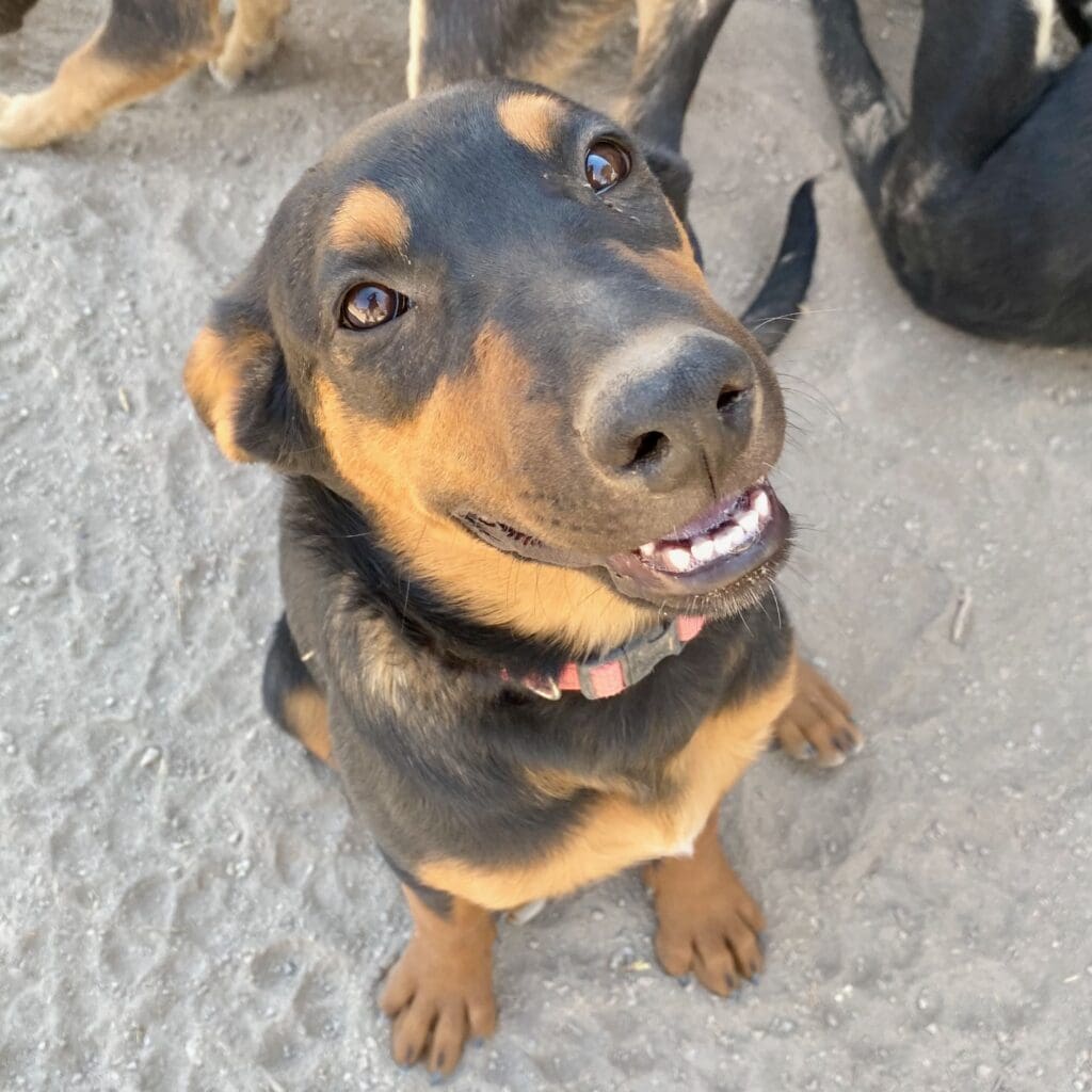 Ava_grin_featured