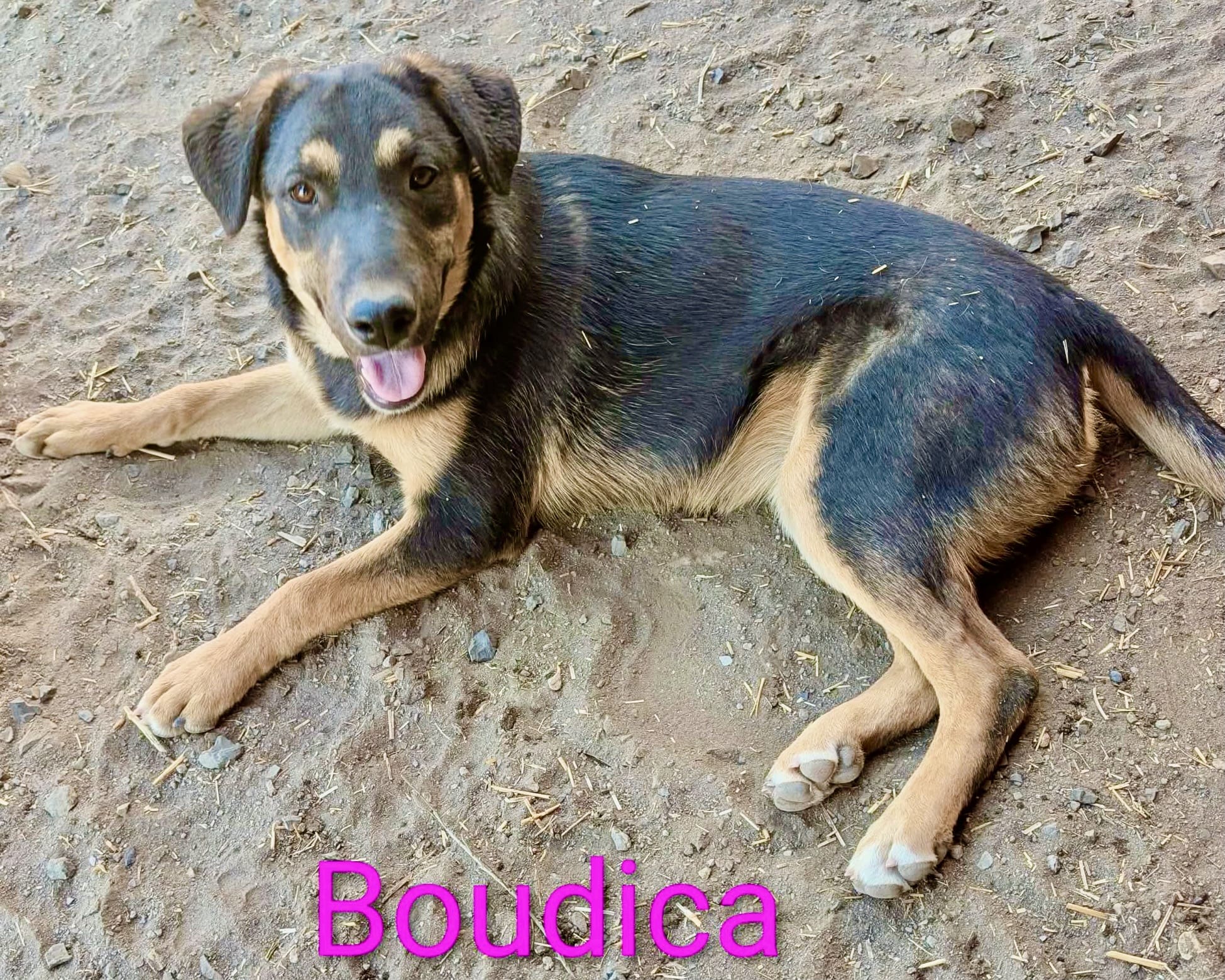 Boudica_lying_down