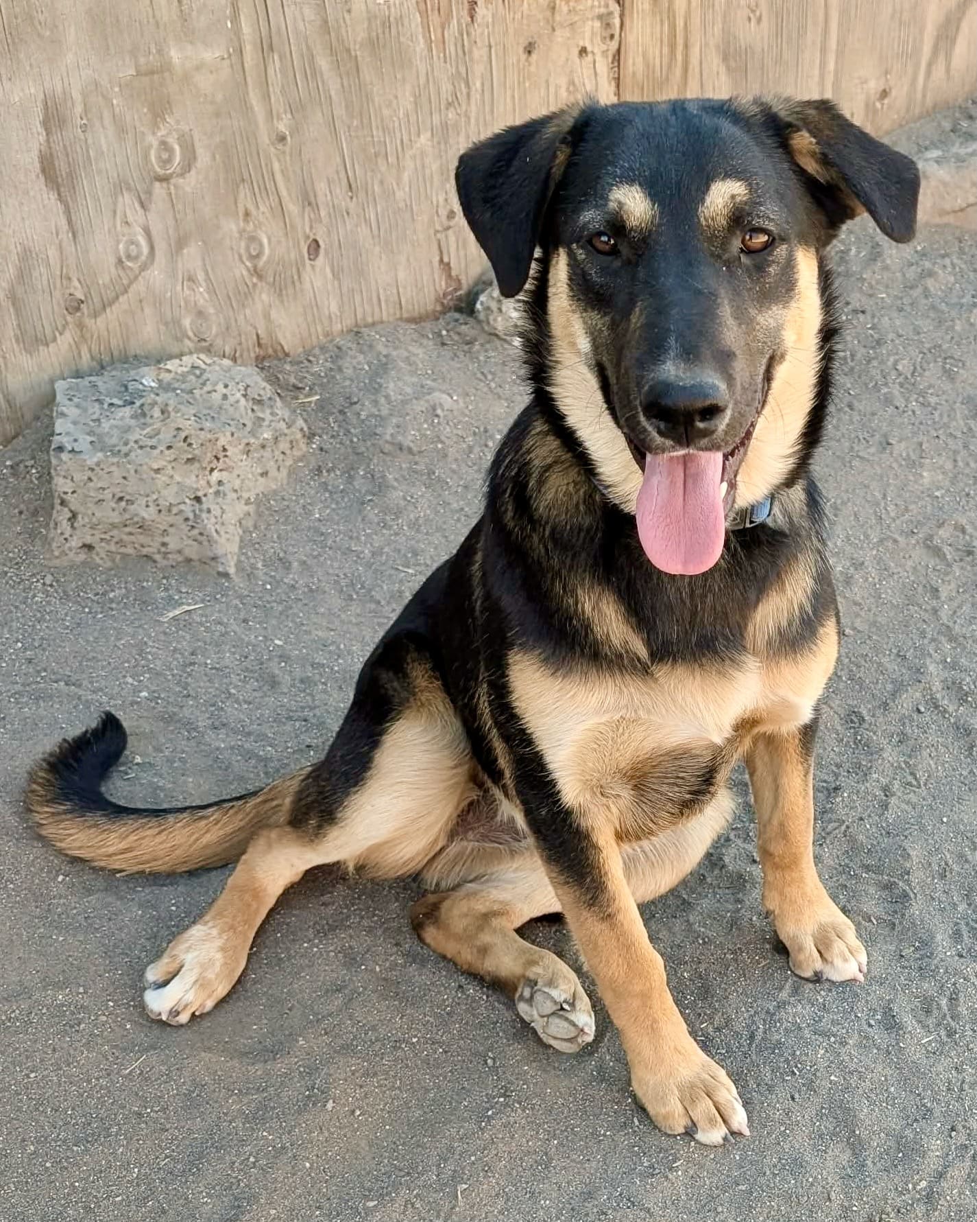 Boudica_sitting_portrait