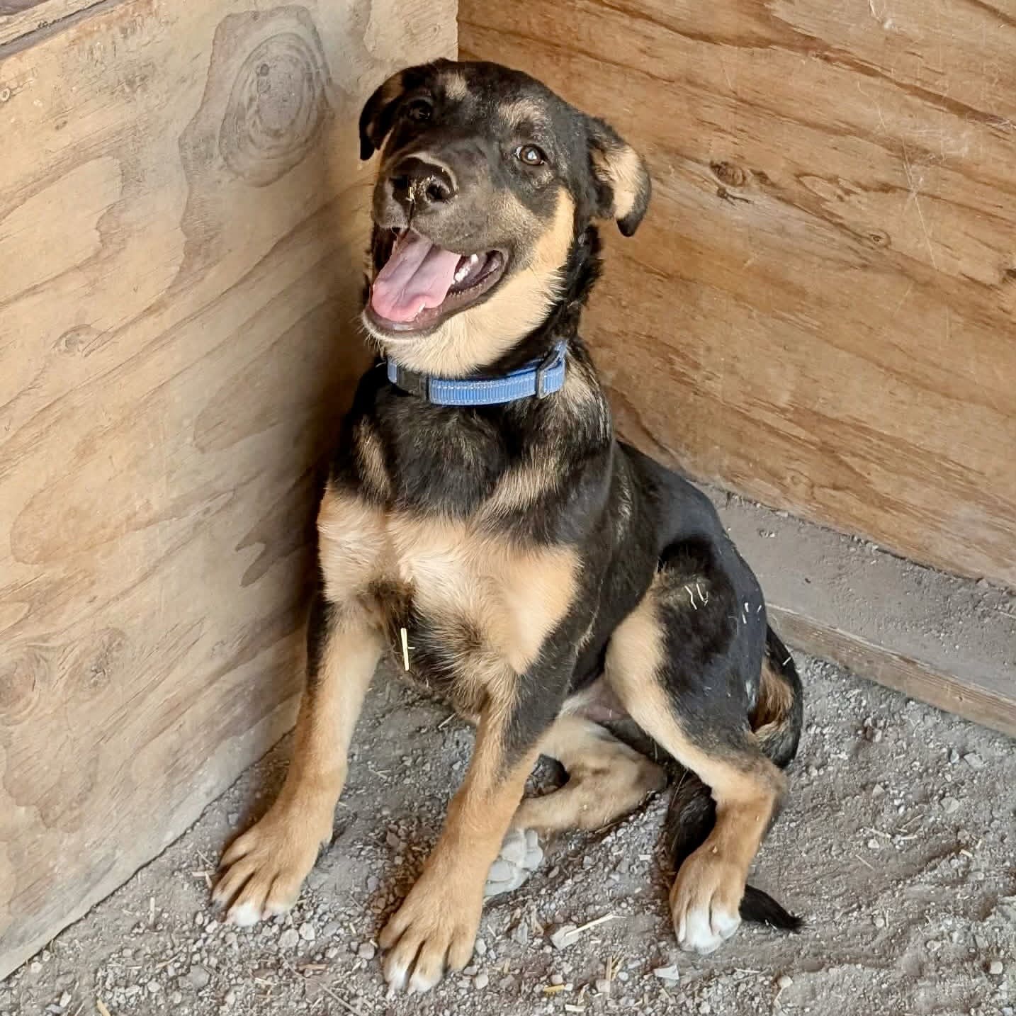 Boudica_smiling