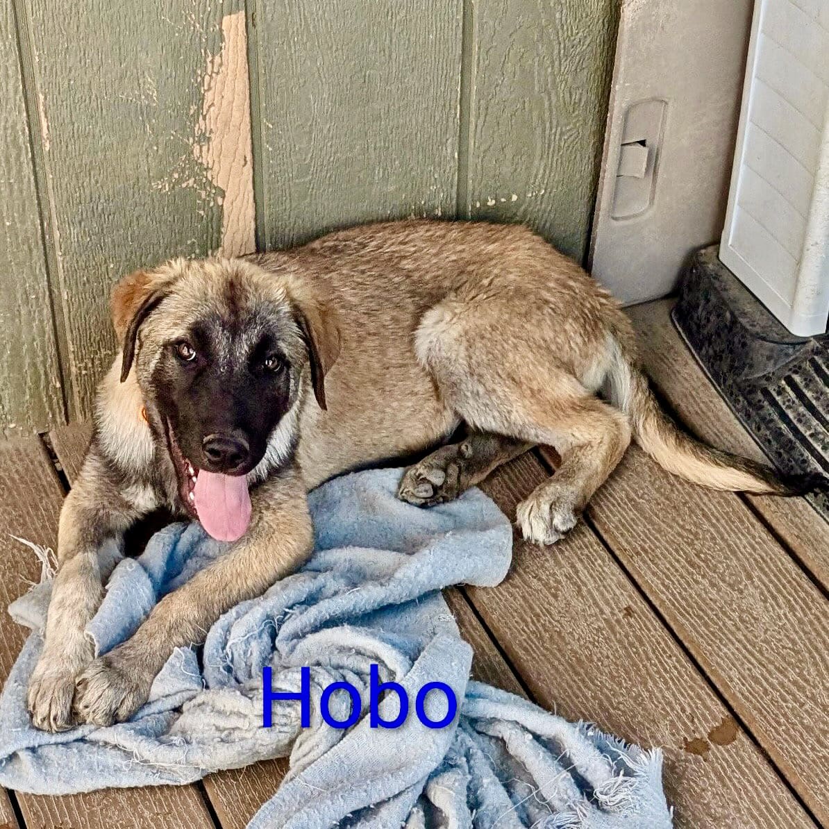 Hobo_porch