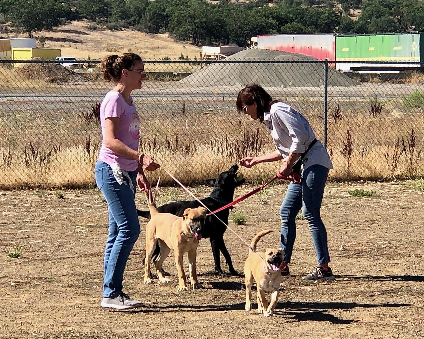 Ali_with_Frieda_socialization_class