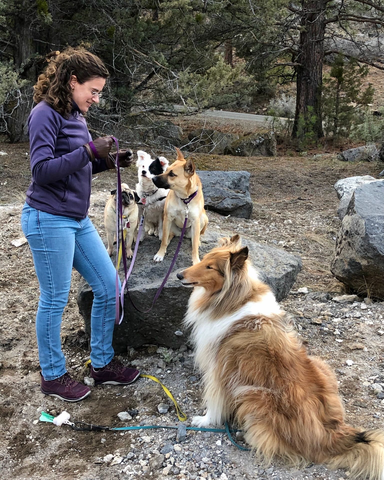 Ali_with_dogs_rock
