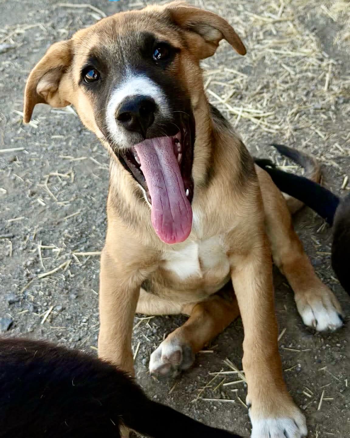 Billy_silly_smile