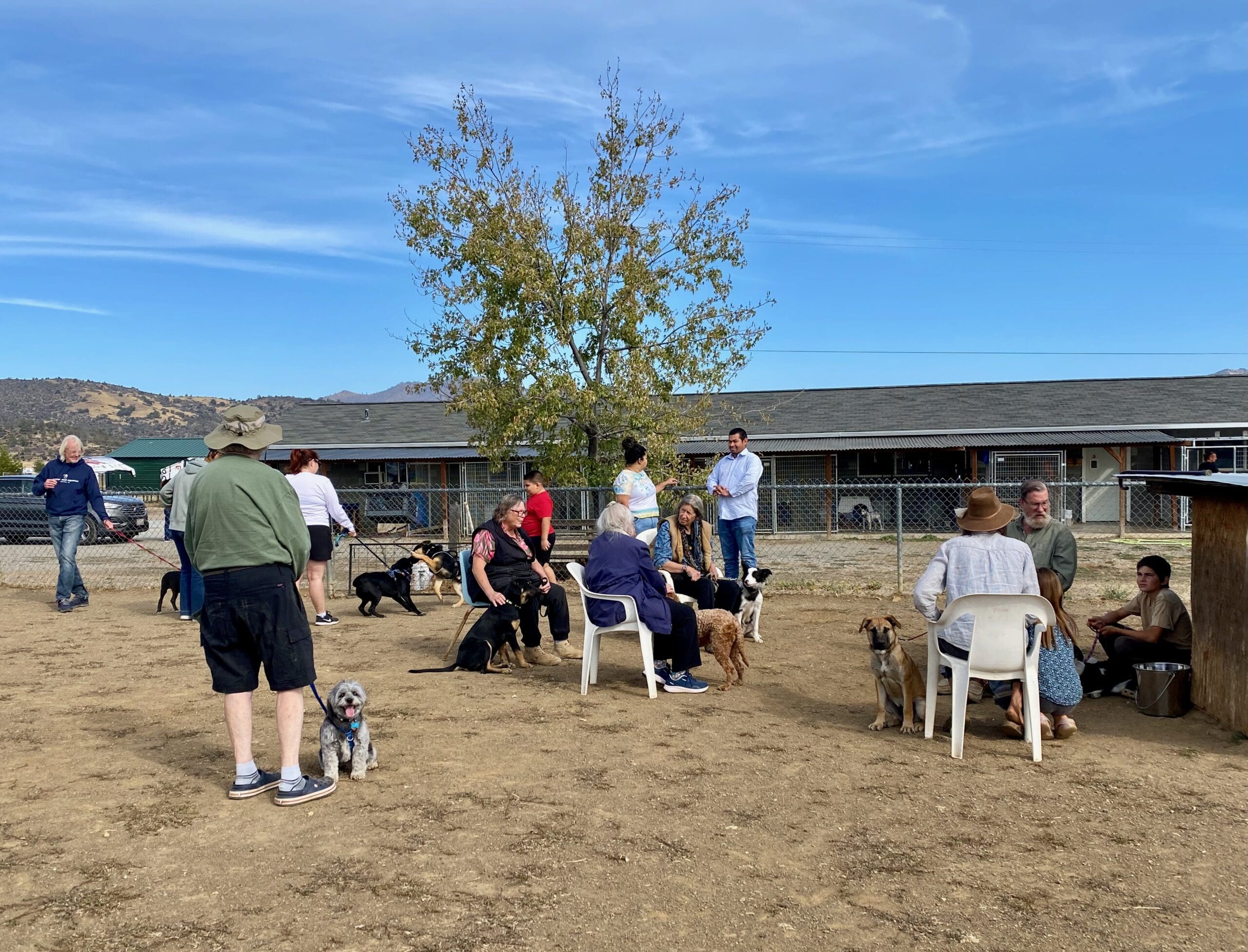Socialization_class_September_2026