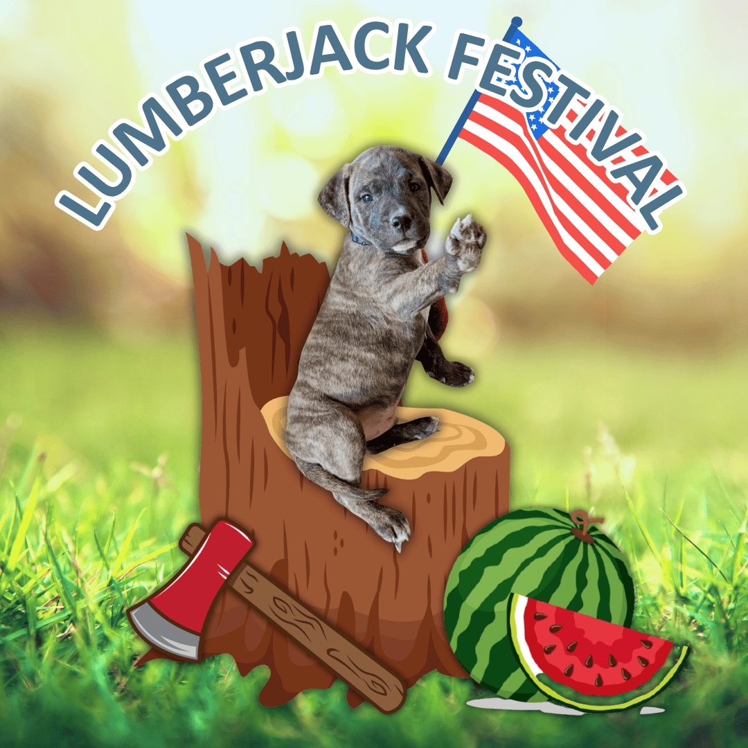 Lumberjack Festival featured