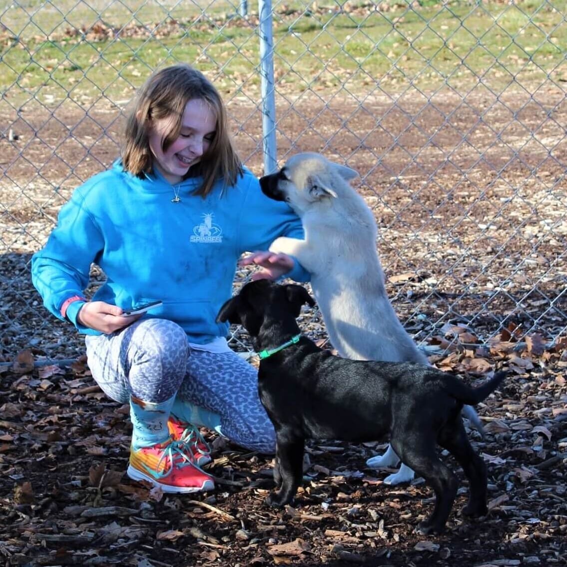 Piper-volunteer_orientation