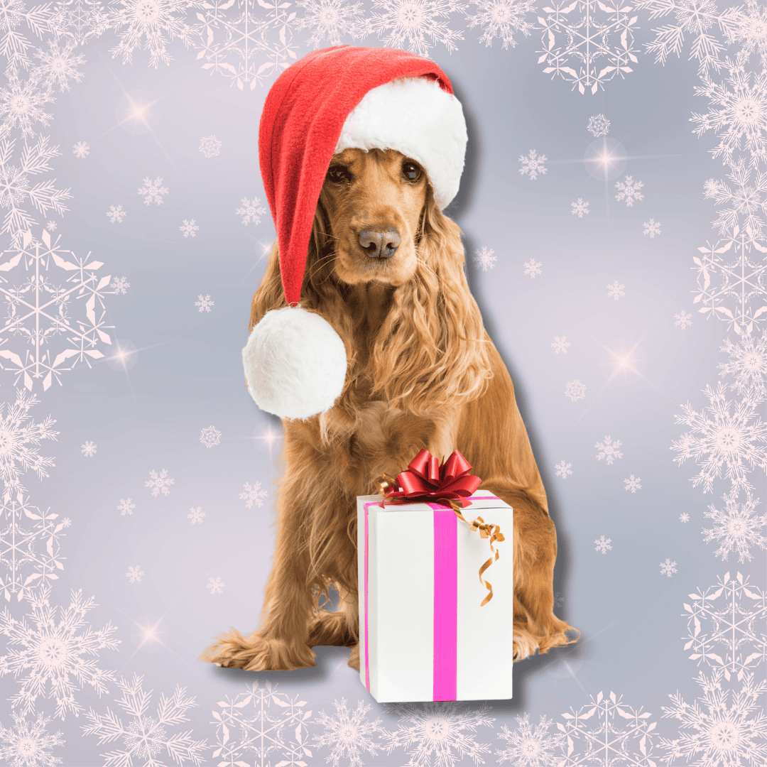 Santa Paws