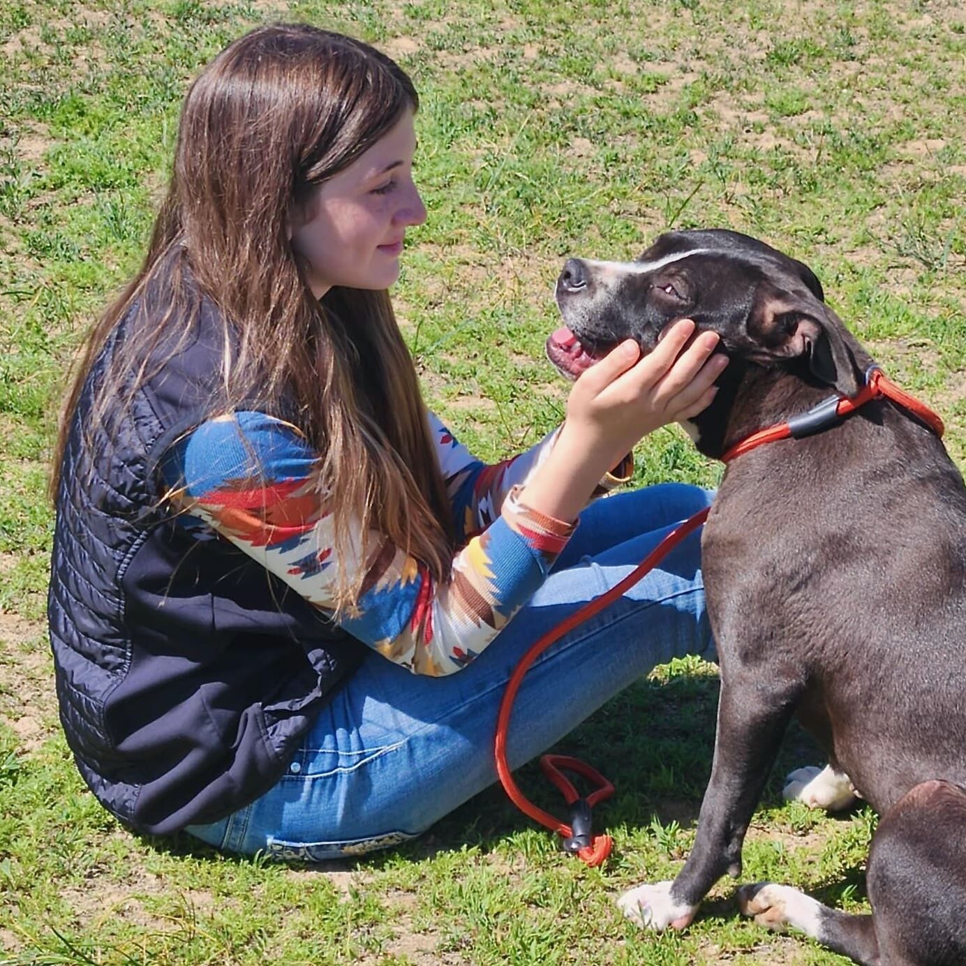 Youth_puppy_featured